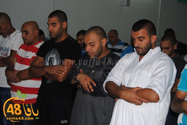 trawe7 zatona (16).JPG